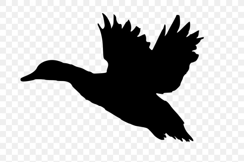 Donald Duck Mallard Silhouette Clip Art, PNG, 1280x850px, Donald Duck, American Black Duck, Art, Beak, Bird Download Free