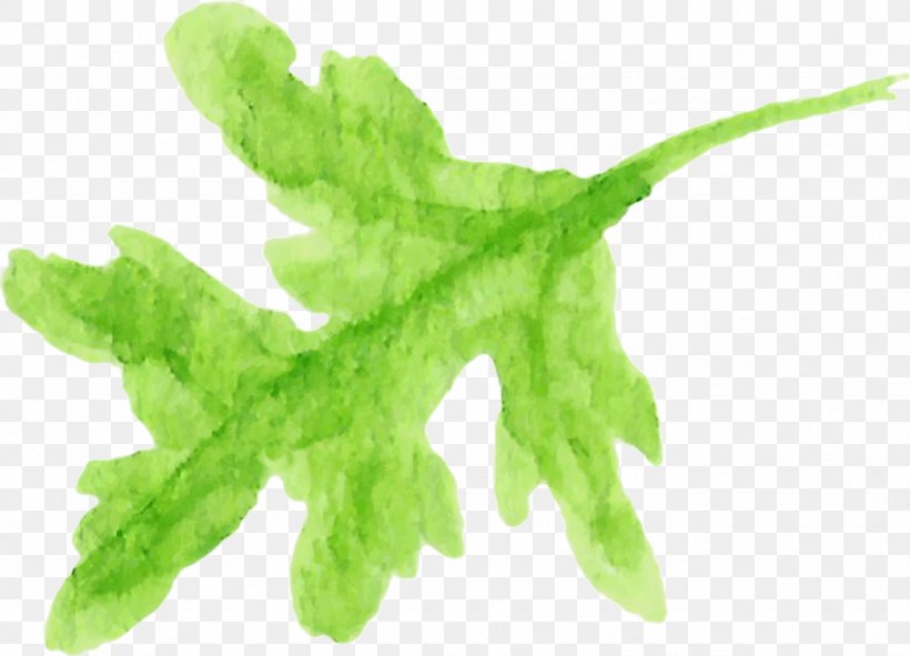 Leaf Vegetable Herb Plant Stem, PNG, 1744x1258px, Leaf, Herb, Leaf Vegetable, Organism, Plant Download Free