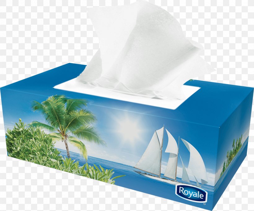 Paper Box Facial Tissues Royale Handkerchief, PNG, 1000x833px, Paper, Bigbox Store, Box, Carton, Department Store Download Free