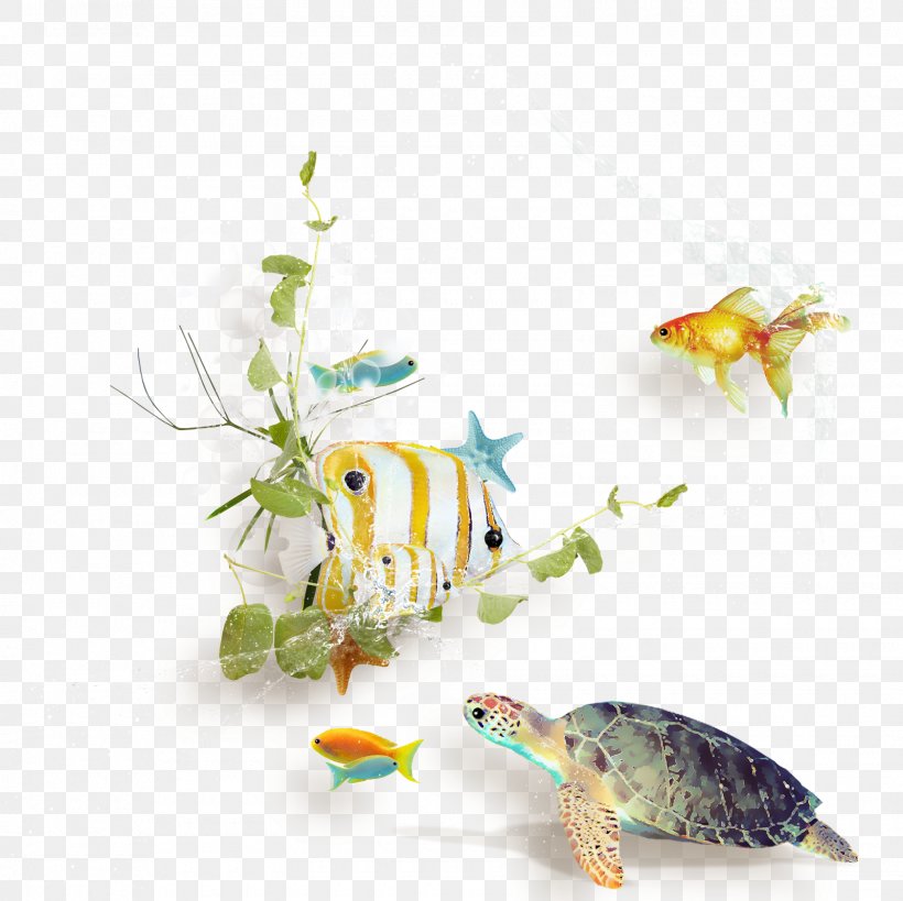 Turtle Clip Art, PNG, 1600x1600px, Turtle, Amphibian, Aquarium Decor, Blog, Color Download Free