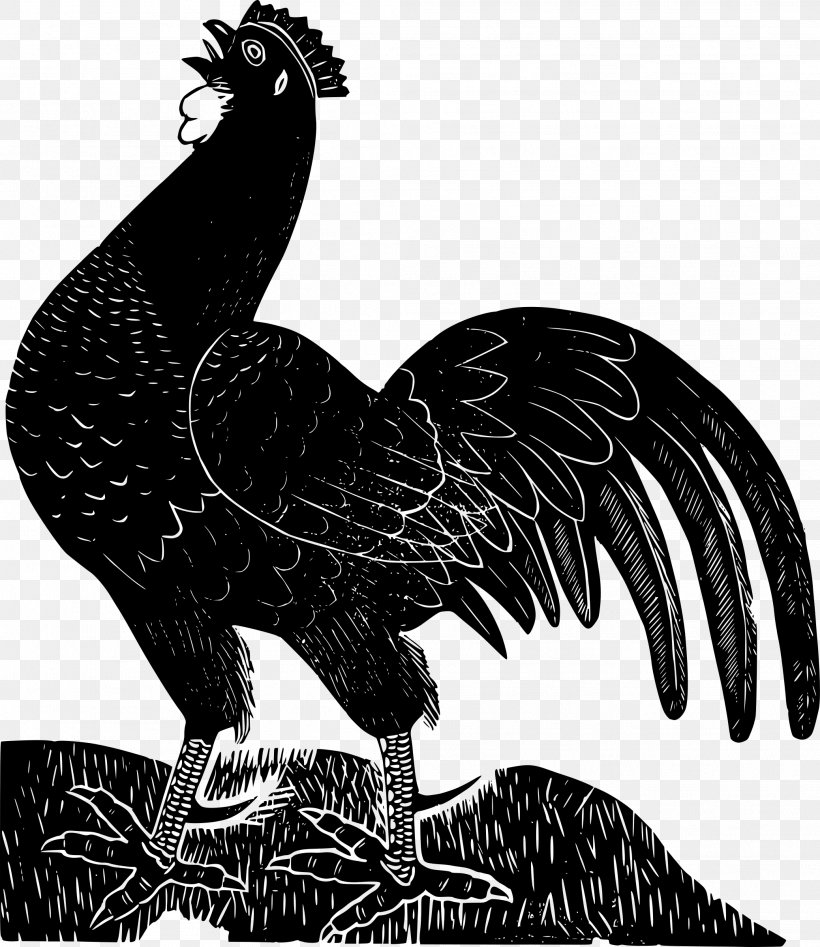 Ayam Cemani Leghorn Chicken Rooster Clip Art, PNG, 2077x2400px, Ayam Cemani, Beak, Bird, Bird Of Prey, Black Download Free