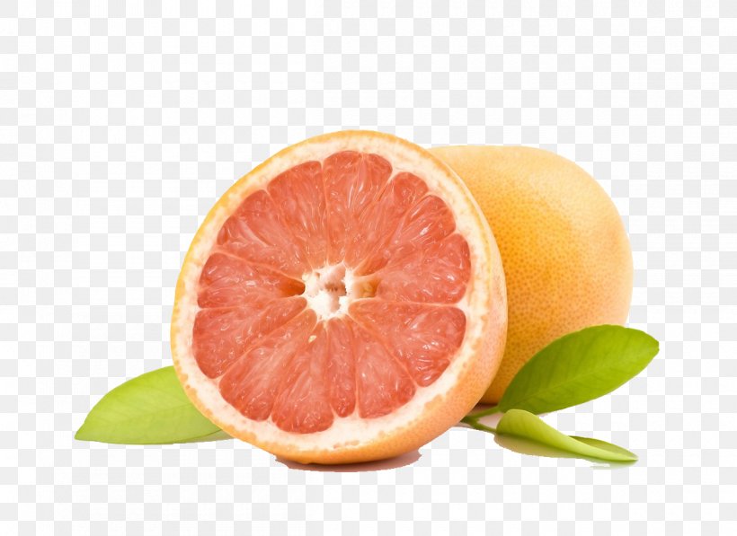 Orange Juice Grapefruit Citrus Xd7 Sinensis Peel, PNG, 1200x875px, Orange Juice, Arancia Di Ribera, Arancia Navel, Auglis, Citric Acid Download Free