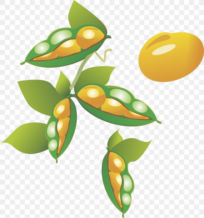 Cartoon Soybean Oryza Sativa, PNG, 3287x3504px, Cartoon, Advertising, Art, Comics, Crop Download Free