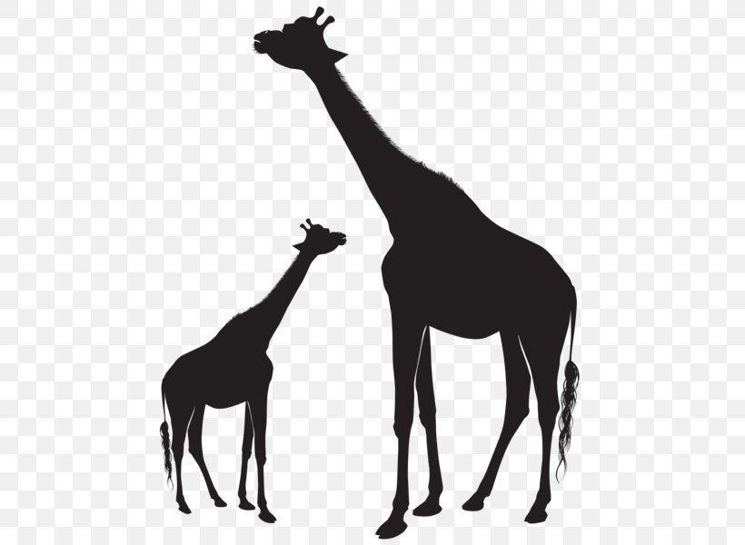Clip Art Baby Giraffe Silhouette Image Vector Graphics, PNG, 487x600px, Baby Giraffe, Art, Black And White, Cartoon, Fauna Download Free
