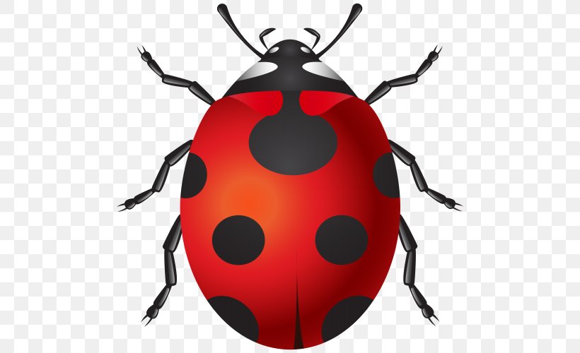 Clip Art, PNG, 500x500px, Editing, Arthropod, Beetle, Insect, Invertebrate Download Free