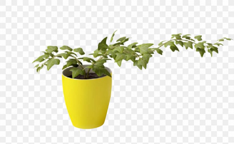 Plant Vine 3D Modeling Vase, PNG, 919x567px, 3d Computer Graphics, 3d Modeling, Plant, Areca Palm, Autodesk 3ds Max Download Free