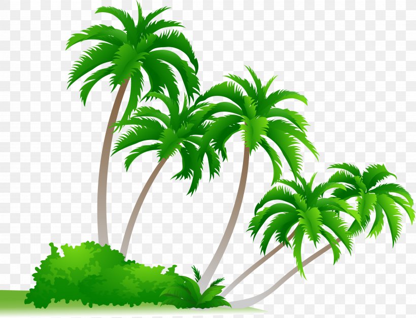 Arecaceae Cdr Drawing Clip Art, PNG, 3528x2699px, Arecaceae, Arecales, Cdr, Coconut, Digital Image Download Free