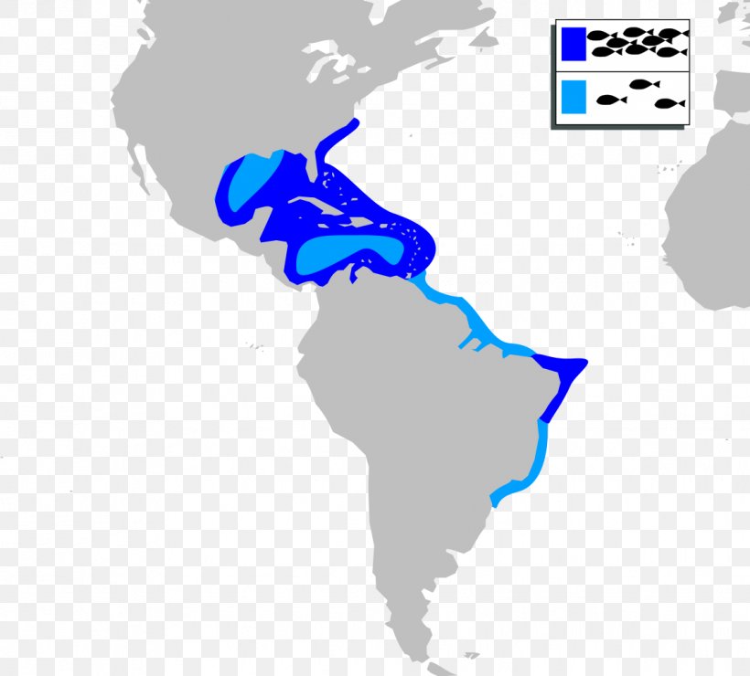 United States Spanish Colonization Of The Americas Latin American Wars Of Independence South America, PNG, 1134x1024px, United States, Americas, Area, Blue, Christopher Columbus Download Free