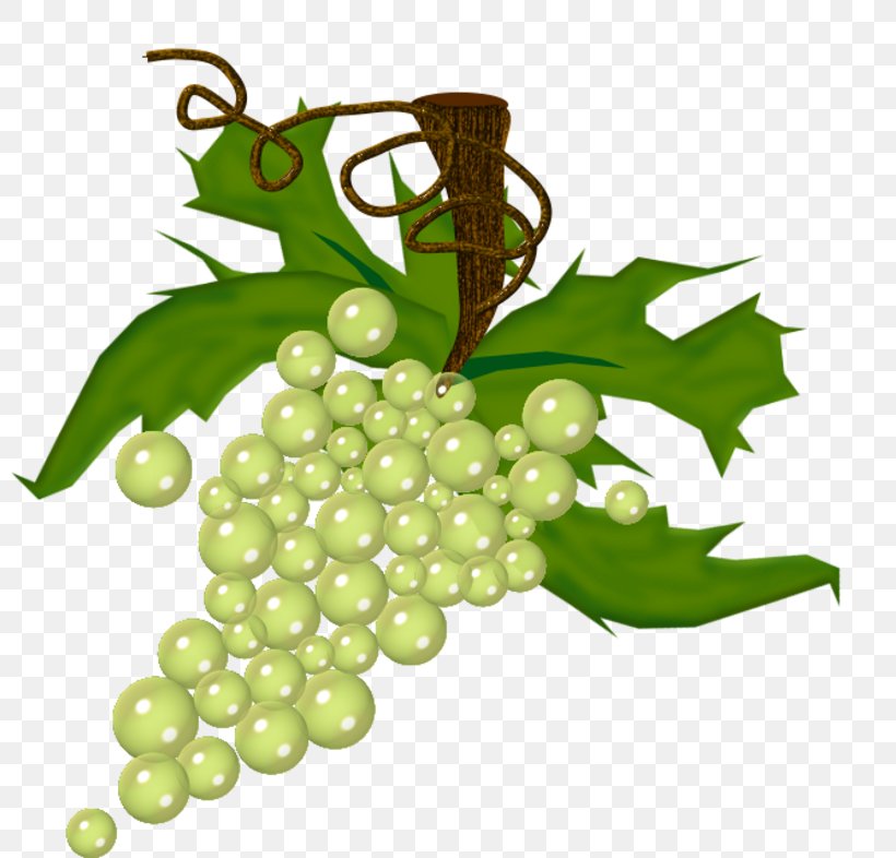 Wine Common Grape Vine Drawing Fruit, PNG, 800x786px, Wine, Art, Auglis, Coloring Book, Common Grape Vine Download Free