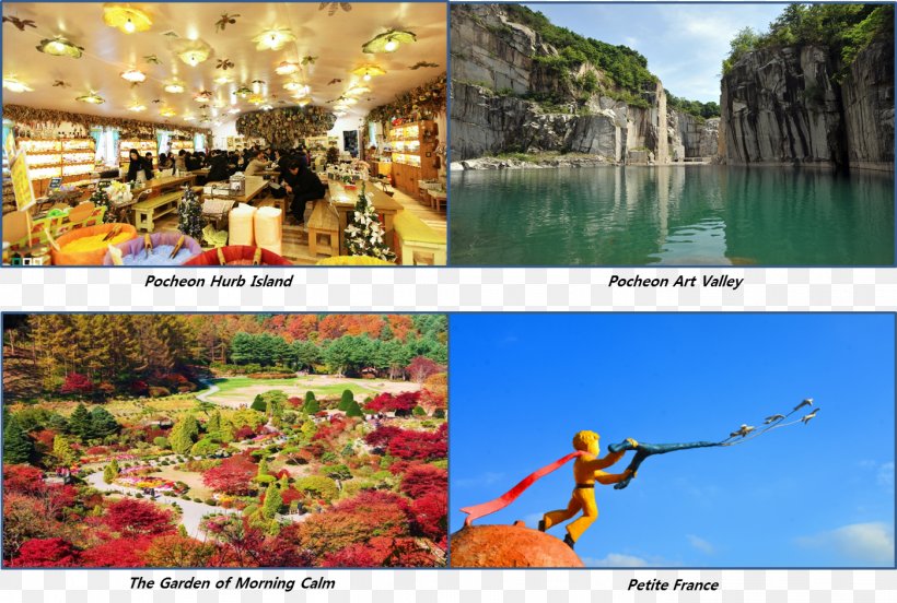 Advertising Travel Water Resources Leisure Desktop Wallpaper, PNG, 1399x943px, Advertising, Collage, Computer, Flora, Leisure Download Free
