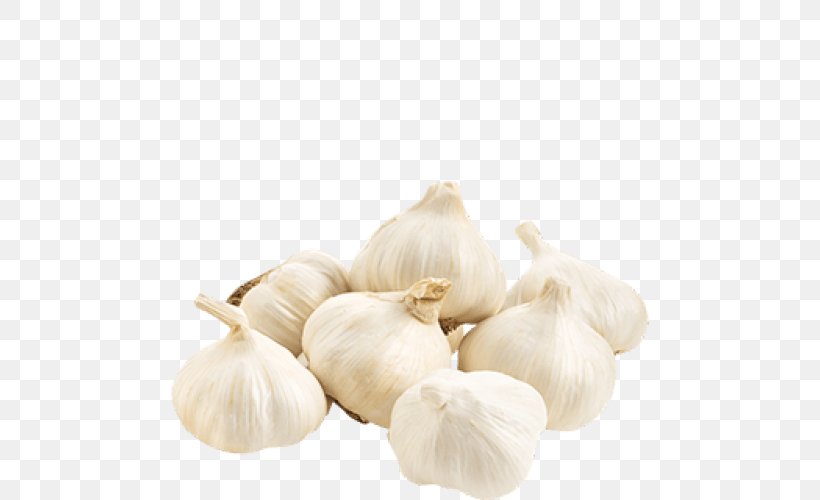 Garlic Health Herb Disease Nutrition, PNG, 500x500px, Garlic, Cooking, Disease, Elephant Garlic, Flavor Download Free