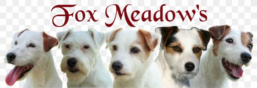 Jack Russell Terrier Parson Russell Terrier Fox Terrier Dog Breed, PNG, 1000x343px, Russell Terrier, Black White, Breed, Carnivoran, Companion Dog Download Free