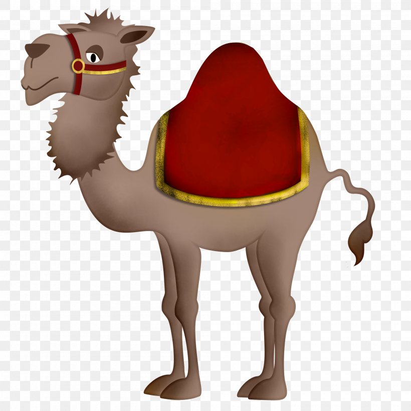 Camel Cartoon Clip Art, PNG, 2000x2000px, Camel, Animation, Arabian Camel, Art, Camel Like Mammal Download Free