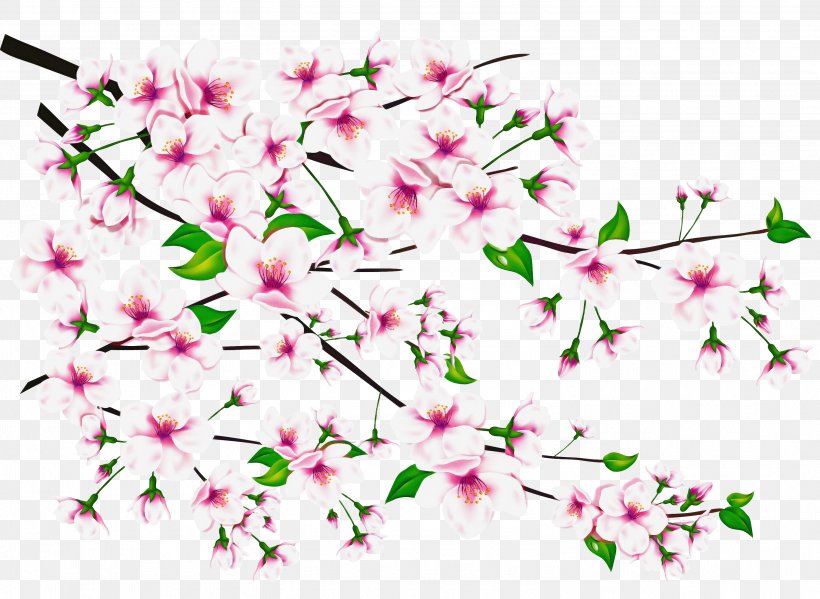 Floral Spring Flowers, PNG, 3013x2202px, Fuwa, Blossom, Branch, Cherries, Cherry Blossom Download Free