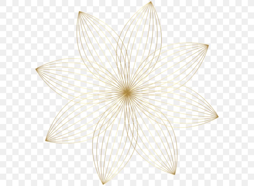 Petal Symmetry Nelumbo Nucifera, PNG, 600x600px, Petal, Flower, Nelumbo Nucifera, Symmetry, White Download Free