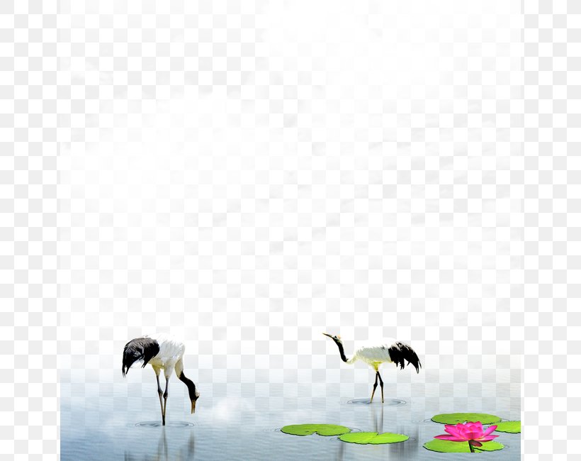 Red-crowned Crane World Wide Web Download, PNG, 650x650px, Watercolor, Cartoon, Flower, Frame, Heart Download Free