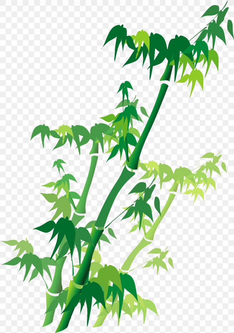 Bamboo Green Illustration, PNG, 845x1200px, Bamboo, Art, Branch, Cartoon, Chinoiserie Download Free