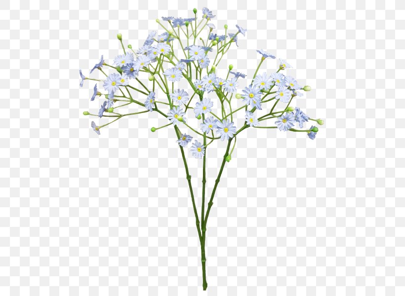 Cut Flowers Baby's-breath Blue Flower Bouquet, PNG, 800x600px, Flower, Blue, Branch, Common Daisy, Cut Flowers Download Free