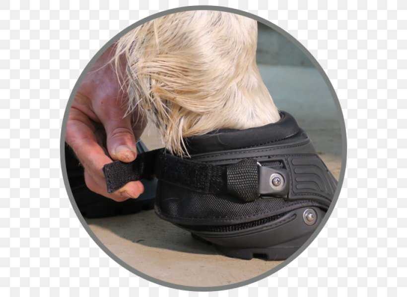 Hoof Boot Horseshoe Equestrian, PNG, 600x600px, Hoof Boot, Backcountry, Boots Uk, Child 44, Equestrian Download Free