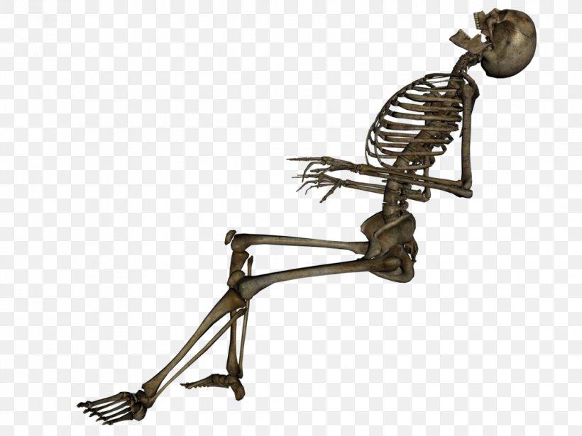 Human Skeleton Skull Death La Calavera Catrina, PNG, 1032x774px, Skeleton, Anatomy, Art, Bone, Dead Comet Download Free