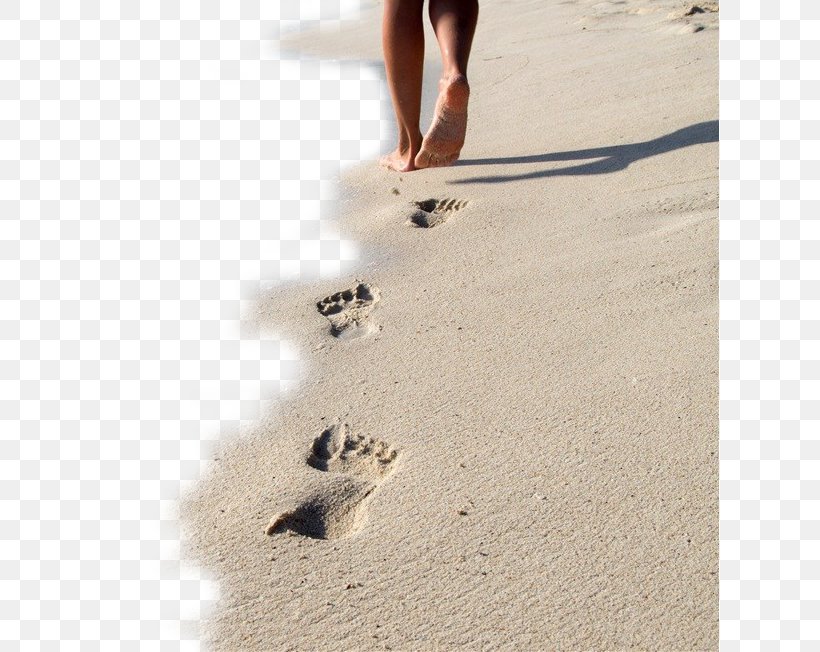 Siesta Key Beach Sand Footprints, PNG, 618x652px, Siesta Key, Beach, Floor, Flooring, Foot Download Free