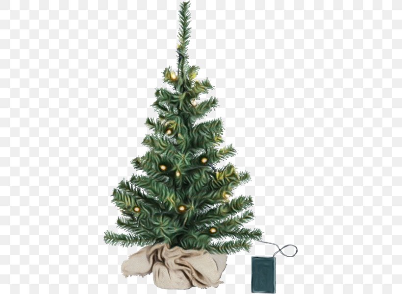 Christmas Tree, PNG, 600x600px, Watercolor, Balsam Fir, Christmas Decoration, Christmas Tree, Colorado Spruce Download Free