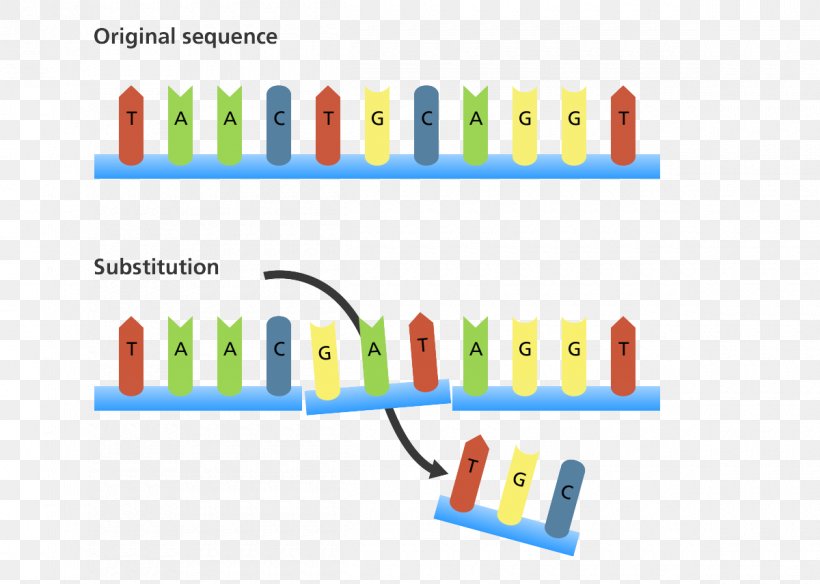 Frameshift Mutation Insertion Point Mutation Genetics, PNG, 1200x856px, Mutation, Area, Brand, Chromosomal Inversion, Chromosome Download Free