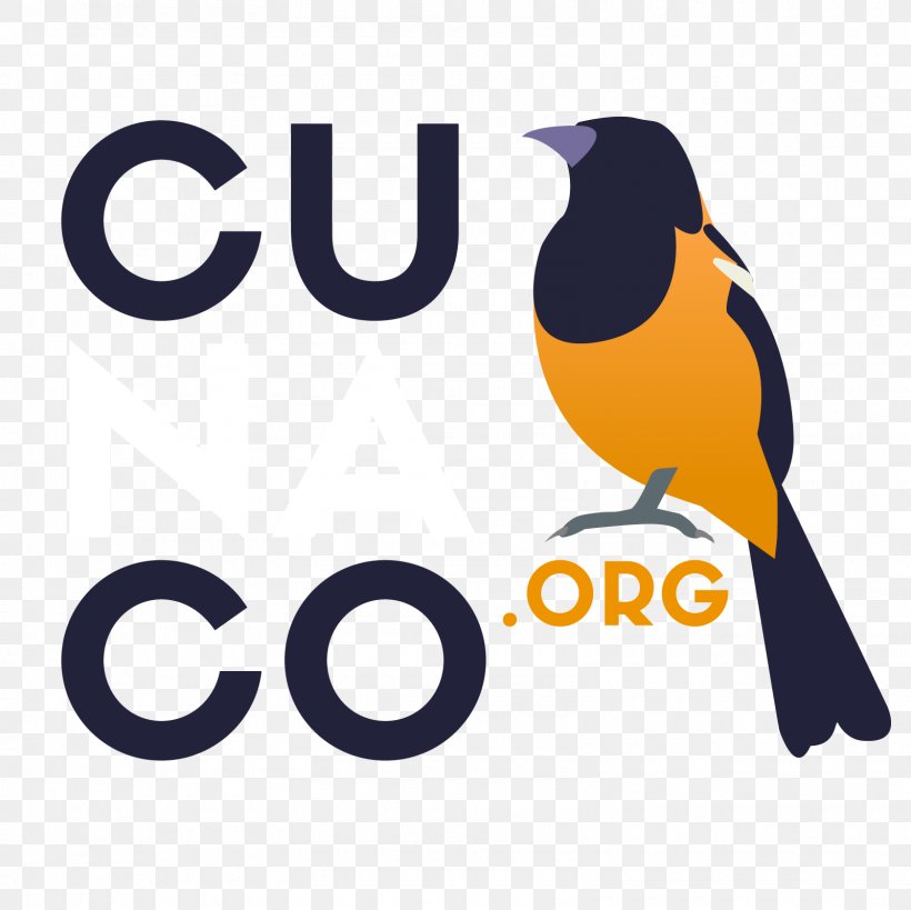 Geografia Curaçao Cunaco Government Of Curaçao Sustainable Development, PNG, 1600x1600px, Curacao, Artwork, Beach, Beak, Bird Download Free