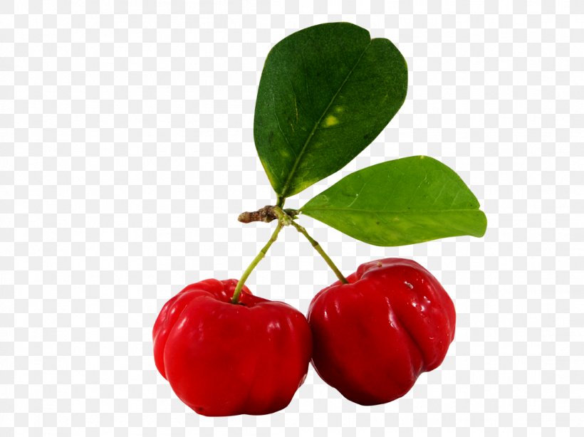 Juice Barbados Cherry Fruit Malpighia Glabra, PNG, 1106x829px, Juice, Acerola, Acerola Family, Auglis, Barbados Cherry Download Free
