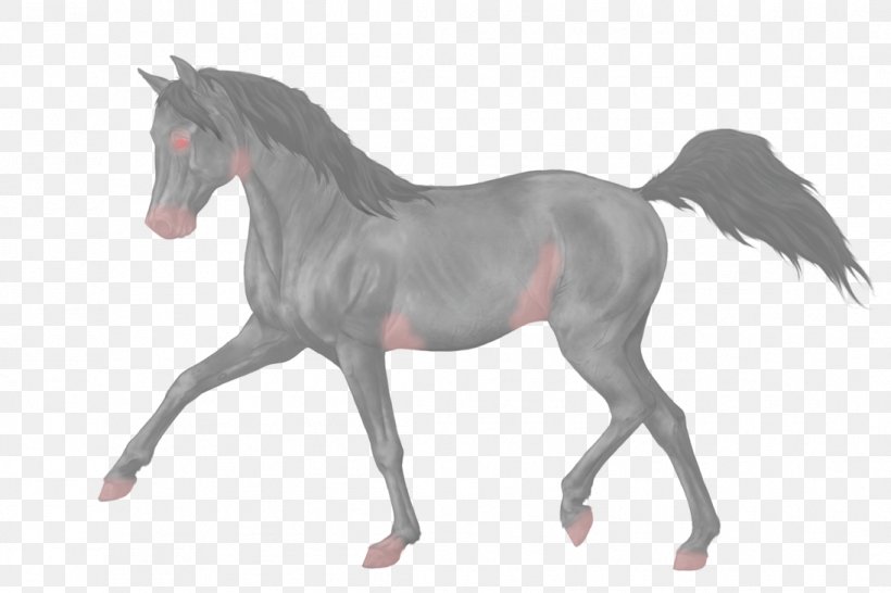 Mustang Stallion Equestrian Dressage Foal, PNG, 1095x730px, Mustang, Animal Figure, Colt, Dressage, Equestrian Download Free