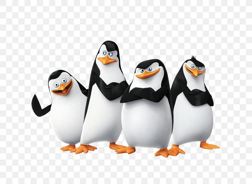 Skipper Kowalski Penguin Madagascar Film, PNG, 676x600px, Kowalski, Animation, Beak, Bird, Dreamworks Animation Download Free