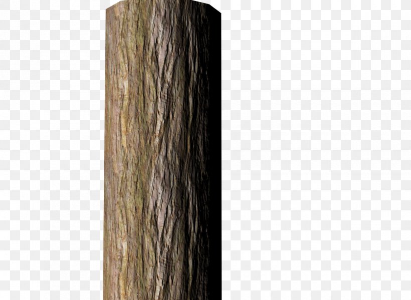 Wood Tree Stump Trunk Bark, PNG, 1200x878px, 3d Computer Graphics, Wood, Bark, Digital Media, Hair Coloring Download Free