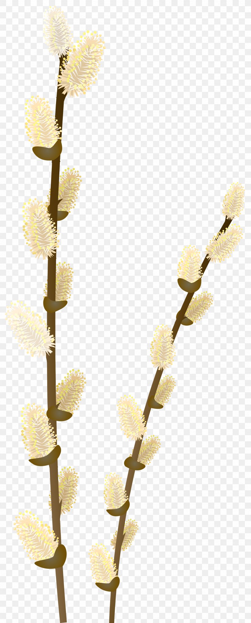 Branch Weeping Willow Tree Clip Art, PNG, 2016x5000px, Branch, Easter, Easter Egg Tree, Plant Stem, Tree Download Free