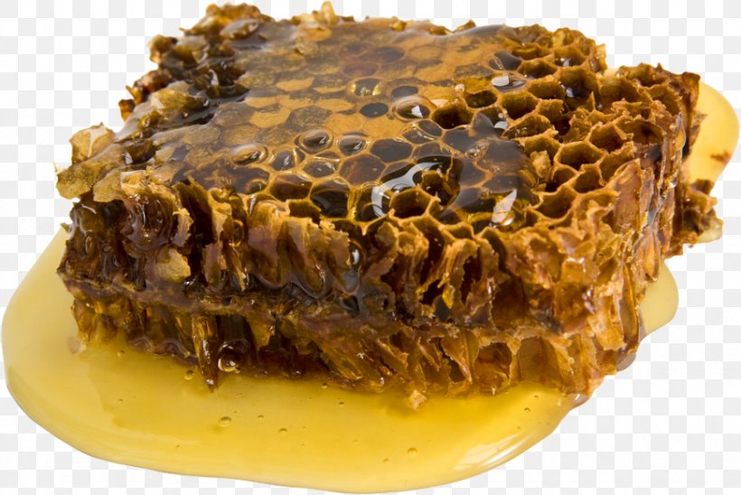 Propolis Beeswax Tincture Honey, PNG, 871x583px, Propolis, Adhesive, Alcohol, Bee, Beekeeping Download Free