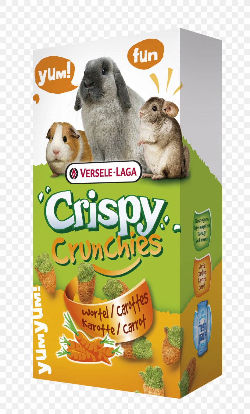 Rodent Rat Guinea Pig Chinchilla Hamster, PNG, 1367x2263px, Rodent, Advertising, Carrot, Chinchilla, European Rabbit Download Free