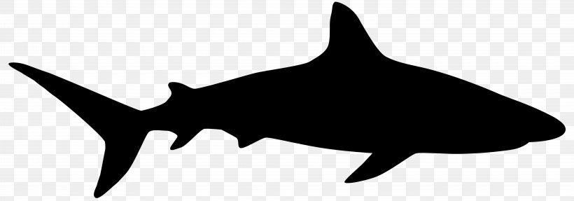 Shark Royalty-free Vector Graphics Stock Photography Image, PNG, 8000x2808px, Shark, Blacktip Shark, Cartilaginous Fish, Cretoxyrhina, Fin Download Free
