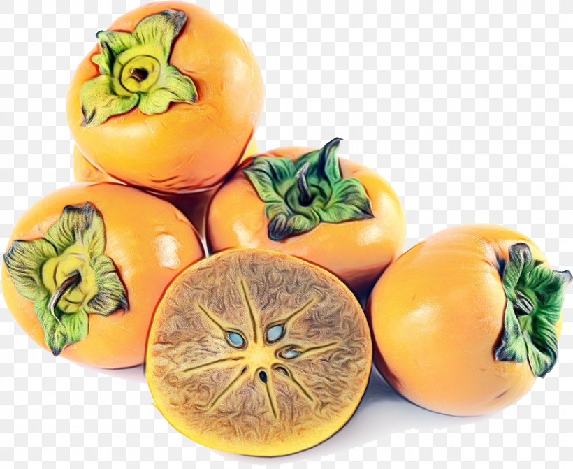 Trees Cartoon, PNG, 872x714px, Persimmon Leaf Tea, Acorn, Bush Tomato, Common Persimmon, Cultivar Download Free