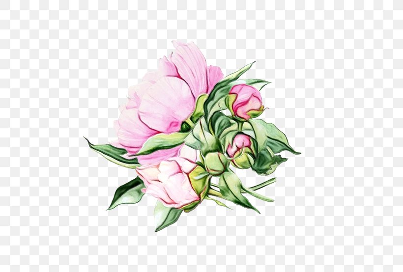 Watercolor Flower Background, PNG, 600x554px, Watercolor, Anthurium, Blume, Bouquet, Bud Download Free