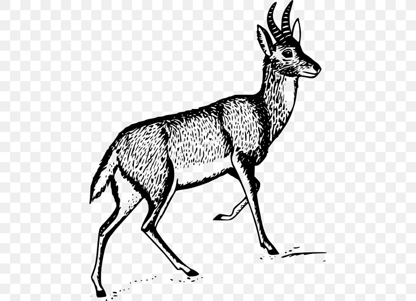 Deer Antelope Clip Art, PNG, 468x594px, Deer, Antelope, Antler, Black And White, Cow Goat Family Download Free