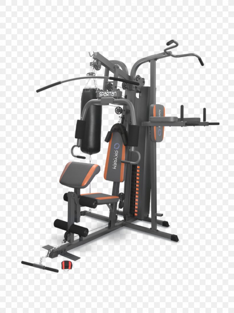 Exercise Machine Strength Training Pulldown Exercise Price Artikel, PNG, 1000x1340px, Exercise Machine, Artikel, Automotive Exterior, Biceps, Exercise Download Free