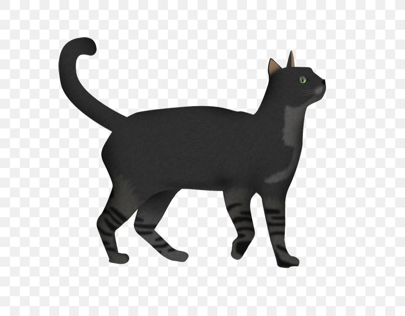 Korat Manx Cat Domestic Short-haired Cat Whiskers, PNG, 640x640px, Korat, Animal, Animal Figure, Black, Black Cat Download Free