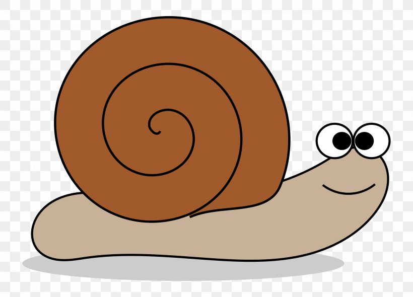 Snail Download Clip Art, PNG, 2400x1727px, Snail, Blog, Cartoon, Drawing, Invertebrate Download Free