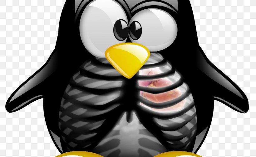 SUSE Linux Distributions OpenSUSE JSON, PNG, 1024x630px, Linux, Beak, Bird, Flightless Bird, Installation Download Free