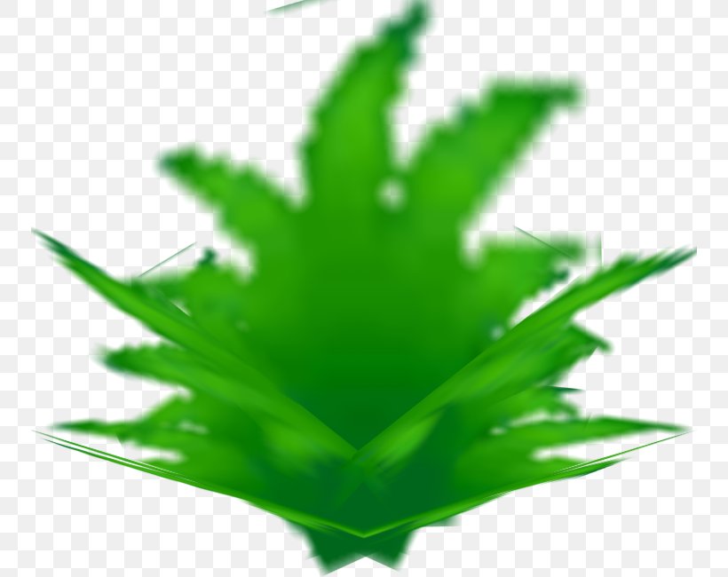 Cannabis Leaf Plant Stem Hemp, PNG, 750x650px, Cannabis, Grass, Green, Hemp, Hemp Family Download Free