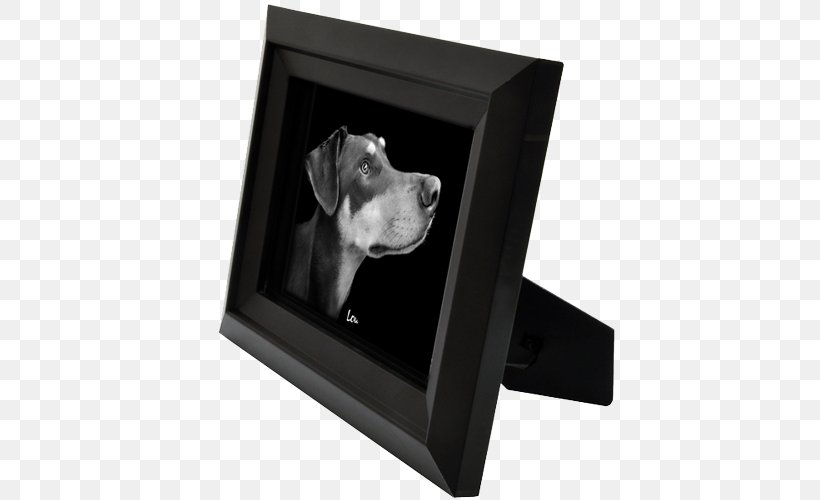 Dog Picture Frames, PNG, 500x500px, Dog, Dog Like Mammal, Picture Frame, Picture Frames, Snout Download Free