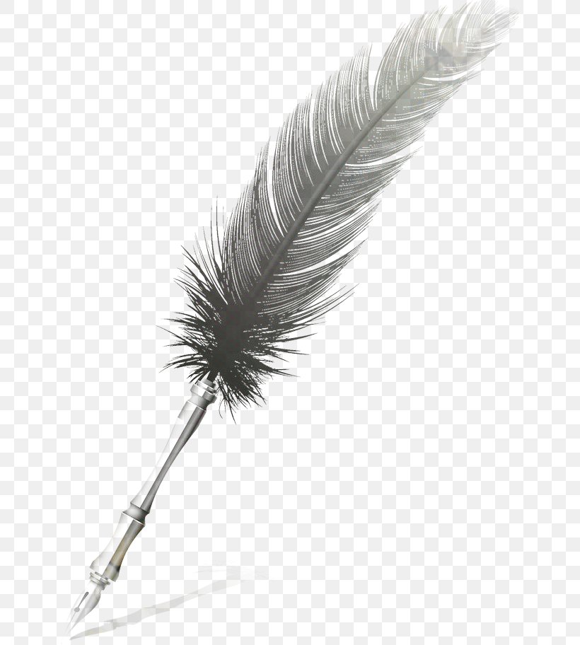 Pencil, PNG, 650x912px, Quill, Calligraphy, Drawing, Feather, Fountain Pen Download Free