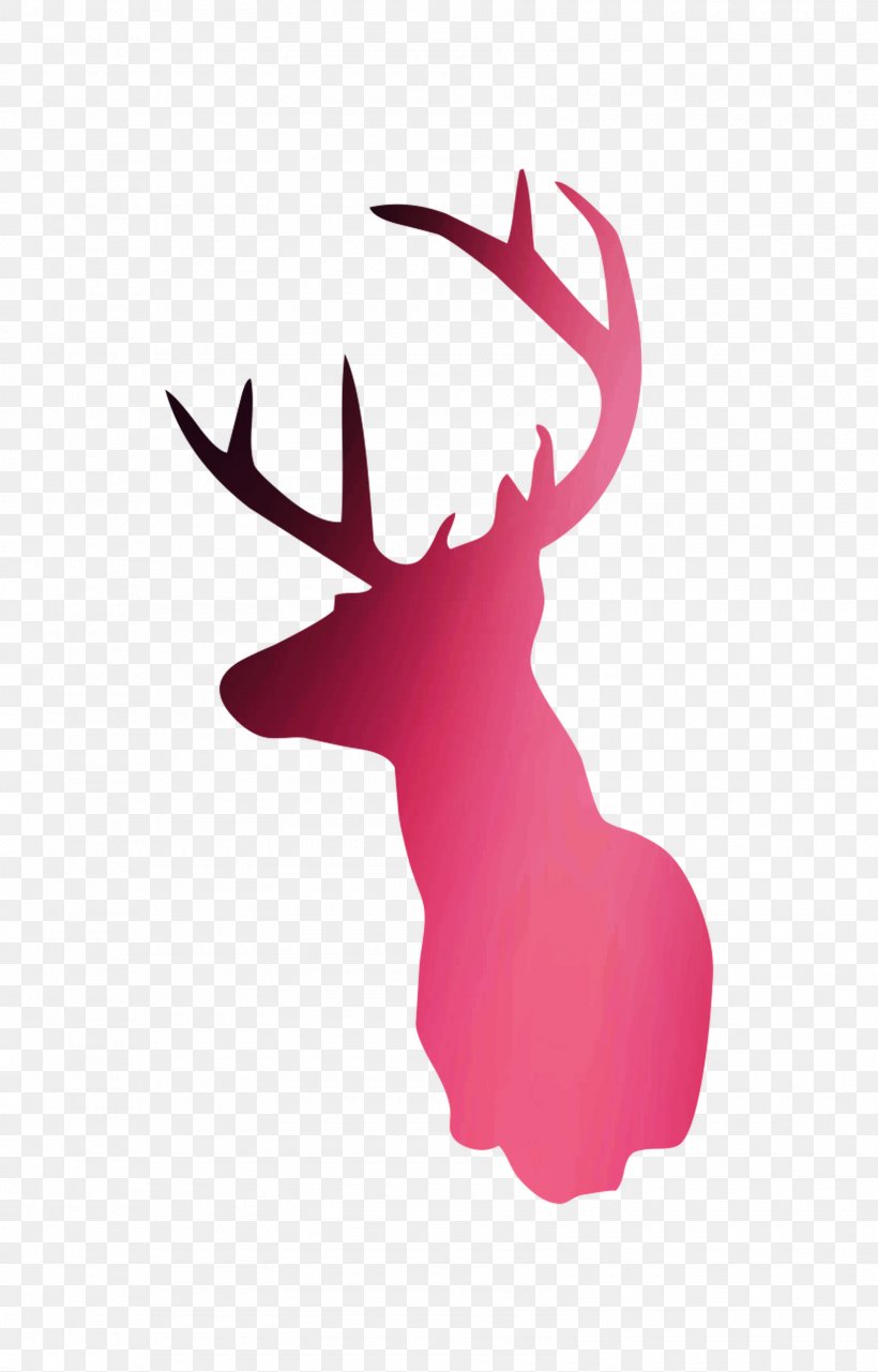 Reindeer Rudolph White-tailed Deer Clip Art, PNG, 1600x2500px, Reindeer, Antler, Christmas Day, Christmas Ornament, Deer Download Free