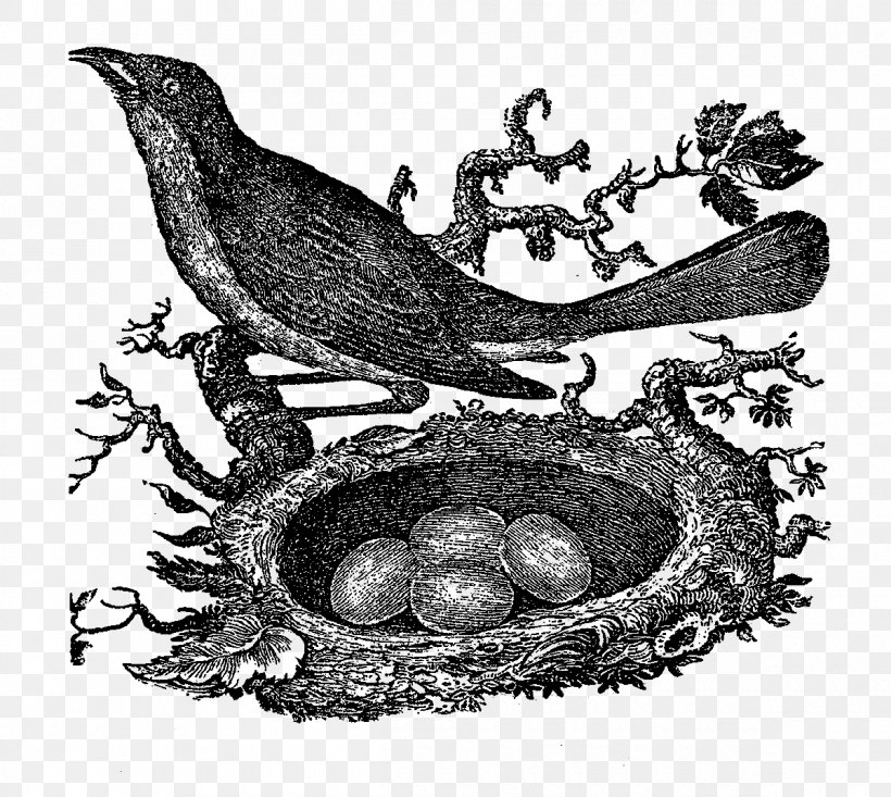 Bird Nest Drawing, PNG, 1200x1073px, Bird, American Robin, Art, Beak, Bird Egg Download Free