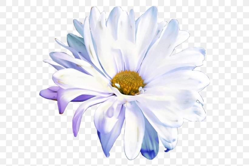 Cut Flowers Petal Flower Bouquet, PNG, 600x545px, Flower, Aster, Blue, Chrysanthemum, Chrysanths Download Free