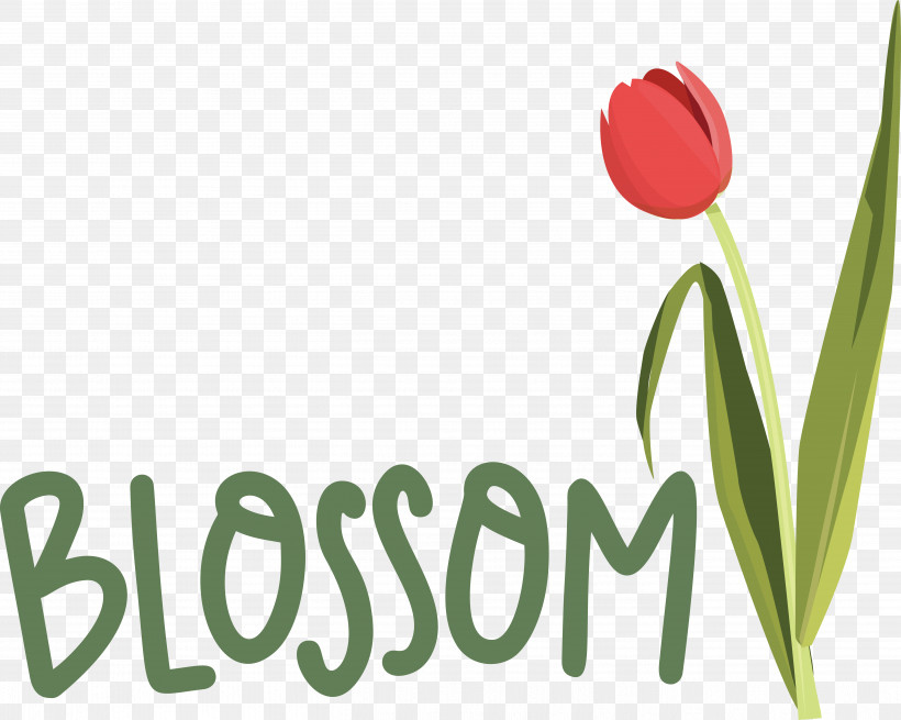 Flower Plant Stem Logo Tulip Font, PNG, 5449x4354px, Flower, Biology, Logo, Meter, Petal Download Free
